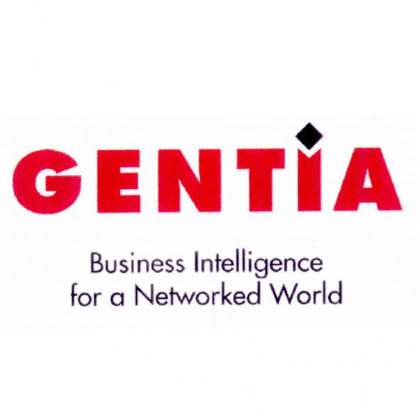 Excel in Business About Us Page - Gentia